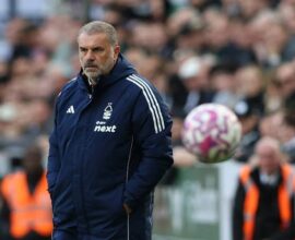 Forest patience for trophies