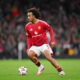 Zirkzee Manchester United transfer